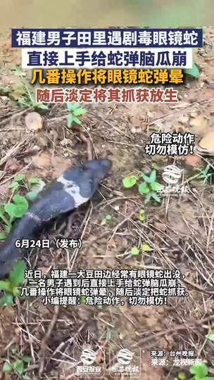 眼镜蛇“弹脑瓜崩”神操作，王者荣耀新赛季中单如何极限反杀？
