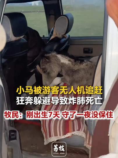 无人机惊马炸肺事件警示：王者荣耀新赛季“跑图流”打法需谨慎