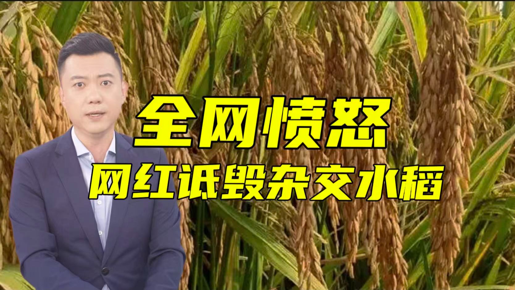 “三系杂交稻”战术体系：看懂LOL版本迭代才能真正看懂中国电竞饭碗