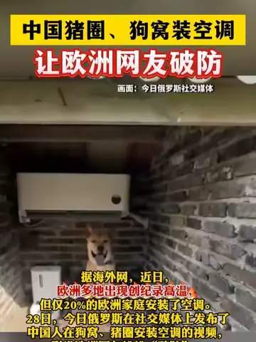 猪圈装空调破防欧洲网友，王者荣耀新赛季打法也得换“降温”思路